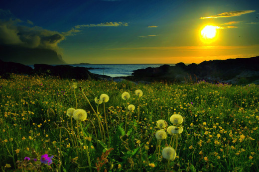 539308 (a): :2560x1700